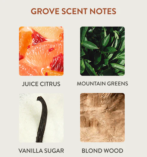 Home Scent Diffuser Starter Kit - Grove - Image 2